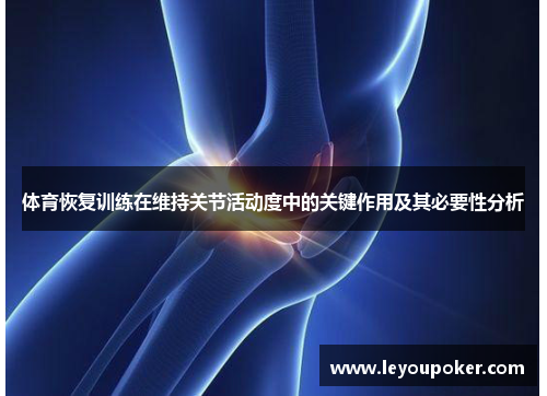 体育恢复训练在维持关节活动度中的关键作用及其必要性分析