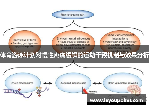 体育游泳计划对慢性疼痛缓解的运动干预机制与效果分析